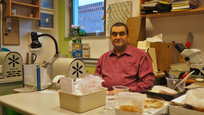 Prof. Dany Azar w Laboratorium Paleontologiczne Żywic Kopalnych Wydziału Biologii UG