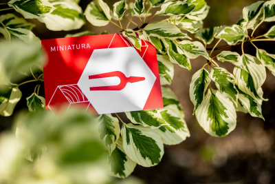 fot. mat. promocyjne