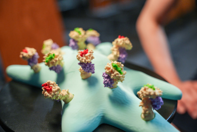 Model nowotworu; photo © European Union 2025