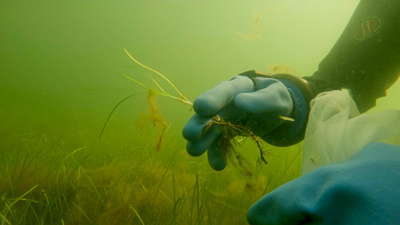 Fot. Krystian Bielatowicz/Fundacja MARE