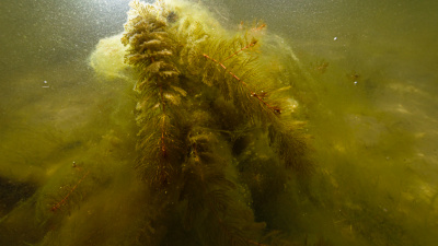 Fot. Krystian Bielatowicz/Fundacja MARE