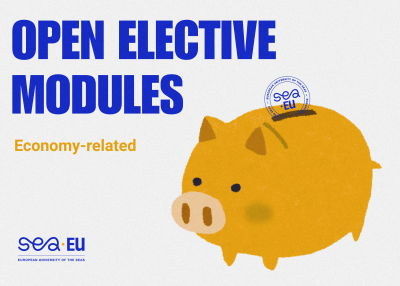 Economy-related Open Elective Modules