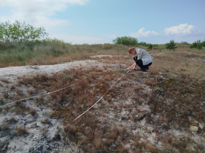 Prace terenowe. Fot.: archiwum LIFE for Dunes PL