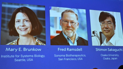 AUDIO BRESCIANI / TT / PAP