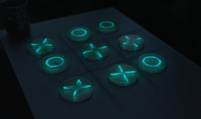 Bioluminiscencyjne bakterie