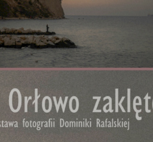 Grafika ze zdjęciem: Orłowo zaklęte. Wystawa fotografii Dominiki Rafalskiej