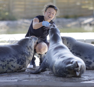 Fot. Stacja MOrska w Helu