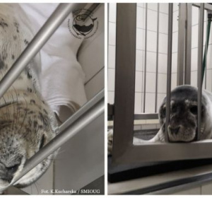 fot. SMIOUG/K. Kucharska