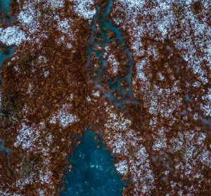 Cudowna odsłona pływających wysp pod Rekowem. Danusia Pałubicka/UM Bytów