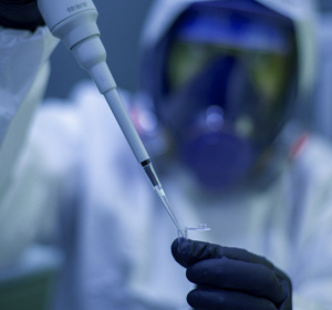 Obraz fernando zhiminaicela z Pixabay 