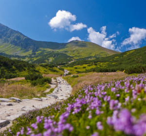 Obraz aleksandra85foto z Pixabay 