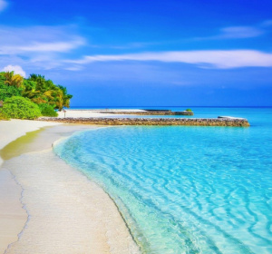 Obraz Walkerssk z Pixabay