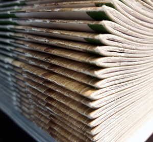 Obraz justynaandryszek z Pixabay 