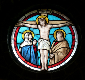 Obraz falco z Pixabay 