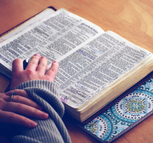 Obraz Free-Photos z Pixabay 