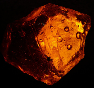 Image by Hans Braxmeier from Pixabay