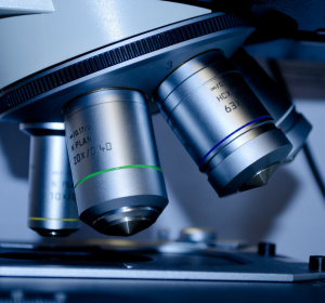 Obraz PublicDomainPictures z Pixabay