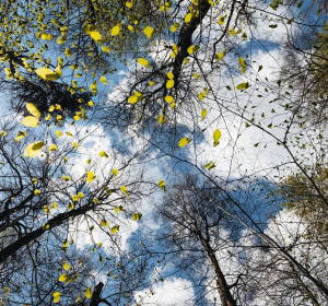 Fot. Bartosz Bańka / Agencja Gazeta