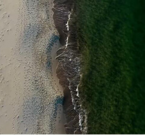 Fot. TEDxUniversityofGdansk