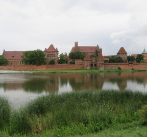 Obraz lino9999 z Pixabay 