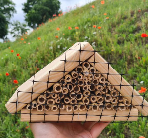 fot. materiały prasowe