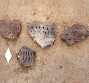 fot. gminakosakowo.pl