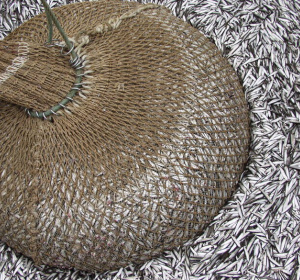 fot. Archiwum SMIOUG