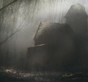 zdjęcie ilustracyjne