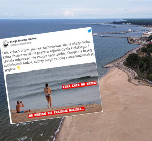 zdjęcie ilustracyjne