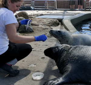Wioleta Mietkiewicz na treningu medycznym