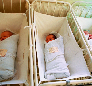 zdjęcie ilustracyjne