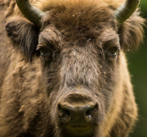 fot. polskieradio.pl