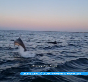 Fragment Reportażu TVN