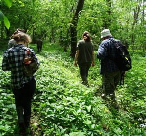 Fot. Marzena Sutryk/Głos Pomorza