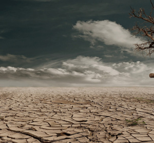 Image by Marion from Pixabay