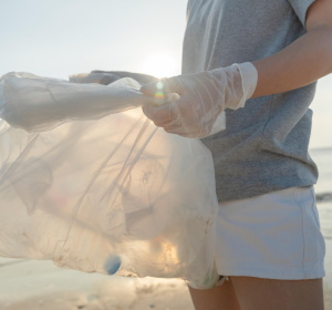 Image by Chaiyan Anuwatmongkolchai from Pixabay