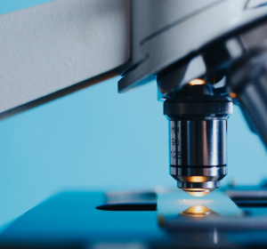 Image by Konstantin Kolosov from Pixabay