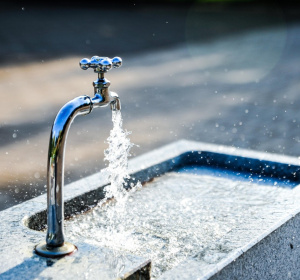 Image by Jonas KIM from Pixabay