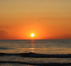 Image by Jakub Woźniak from Pixabay