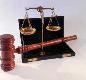 Image by succo from Pixabay