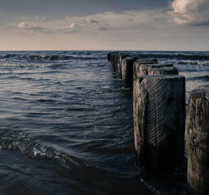 Image by Jakub Martenka from Pixabay