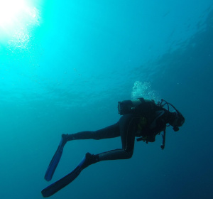 Image by tuturgires from Pixabay