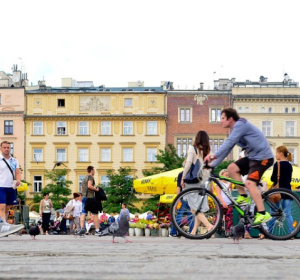 Image by Mickey Estes from Pixabay