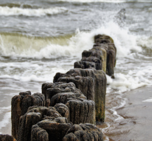 Image by ivabalk from Pixabay