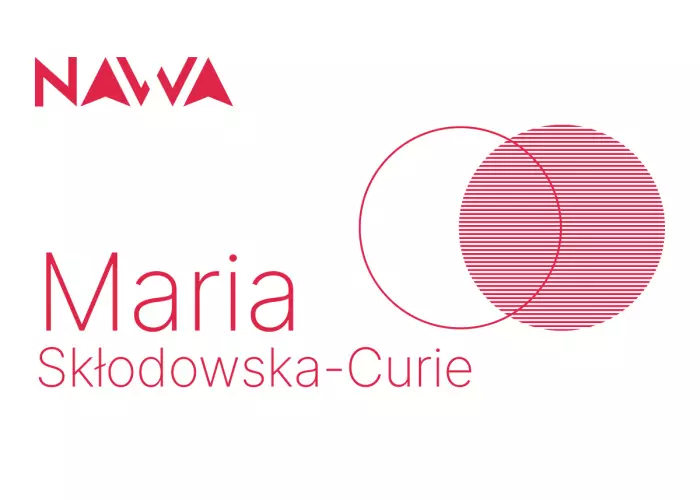 Ilustracja: „Świat kwantowy rządzi się innymi prawami niż ten, który znamy na co dzień” - Maria Skłodowska-Curie Postdoctoral Fellowship na UG