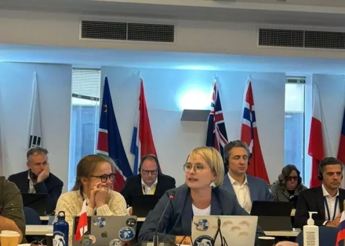 fot. Francisco Santa Cruz