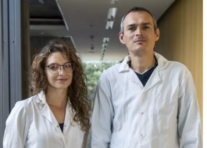 Ilustracja: New forms of anti-inflammatory drug - European patent!