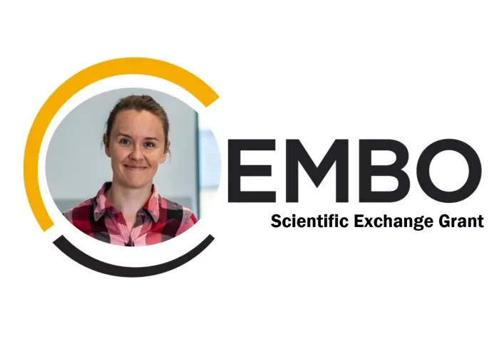 Ilustracja: Dr Anna Karłowicz receives prestigious EMBO grant