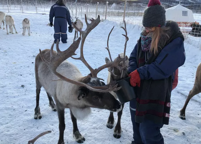 {{ value_6|escape }}