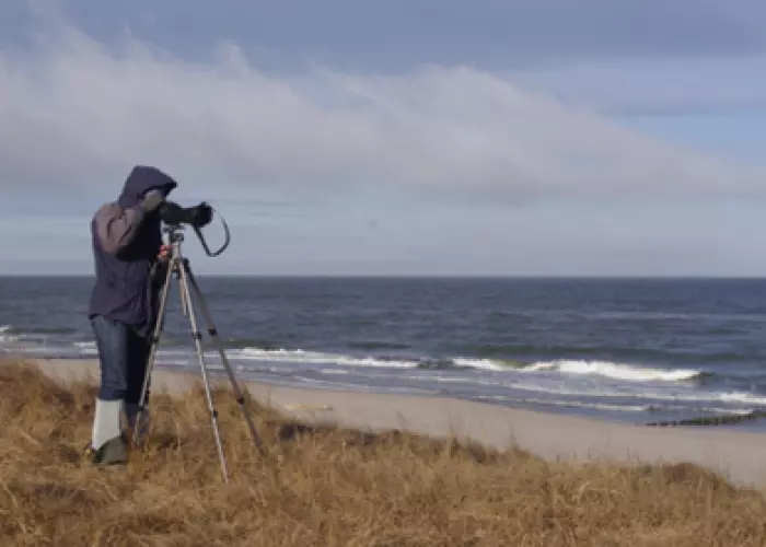 Ilustracja: {{ value_6|escape }}